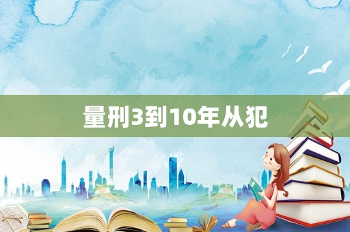 量刑3到10年從犯