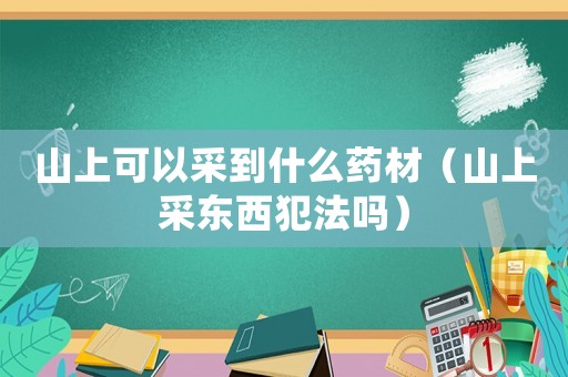 山上可以采到什么藥材（山上采東西犯法嗎）