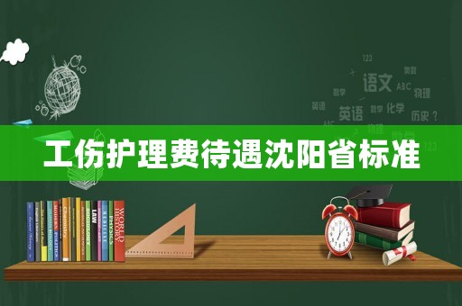 工傷護理費待遇沈陽省標準