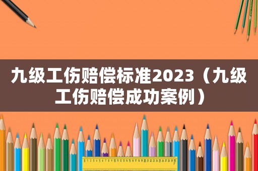 九級工傷賠償標準2023（九級工傷賠償成功案例）