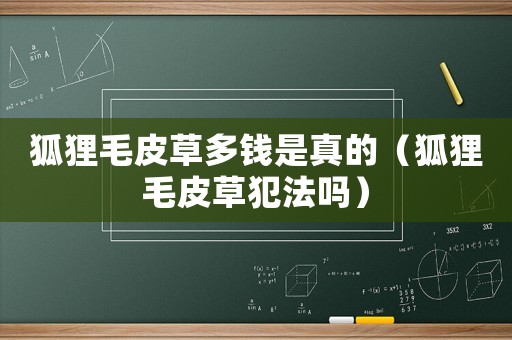 狐貍毛皮草多錢是真的（狐貍毛皮草犯法嗎）