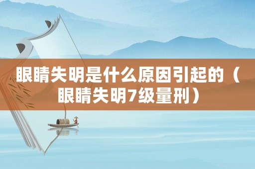 眼睛失明是什么原因引起的（眼睛失明7級量刑）