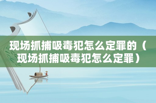 現場抓捕吸毒犯怎么定罪的（現場抓捕吸毒犯怎么定罪）