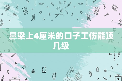 鼻梁上4厘米的口子工傷能頂幾級