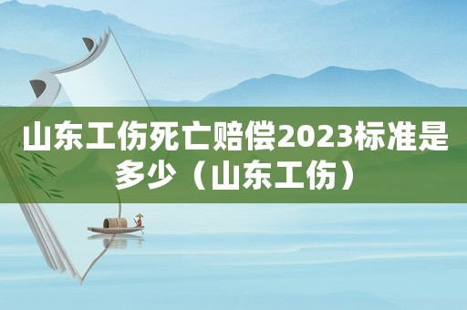 山東工傷死亡賠償2023標準是多少（山東工傷）