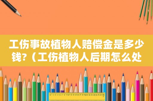 工傷事故植物人賠償金是多少錢?（工傷植物人后期怎么處理）