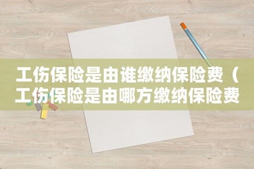 工傷保險(xiǎn)是由誰(shuí)繳納保險(xiǎn)費(fèi)（工傷保險(xiǎn)是由哪方繳納保險(xiǎn)費(fèi)）