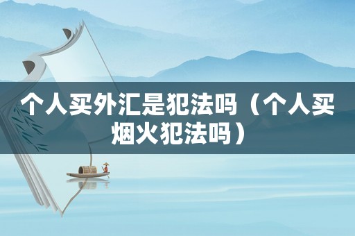 個人買外匯是犯法嗎（個人買煙火犯法嗎）