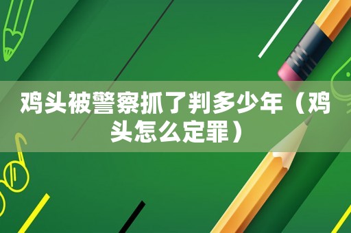 雞頭被警察抓了判多少年（雞頭怎么定罪）