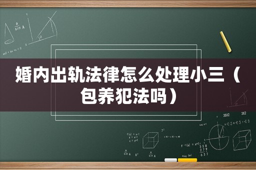 婚內出軌法律怎么處理小三（包養犯法嗎）
