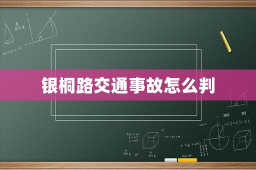 銀桐路交通事故怎么判