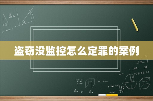 盜竊沒監(jiān)控怎么定罪的案例
