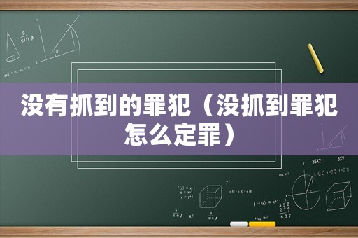 沒有抓到的罪犯（沒抓到罪犯怎么定罪）