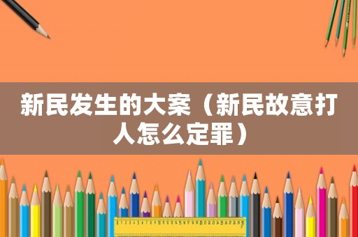 新民發(fā)生的大案（新民故意打人怎么定罪）