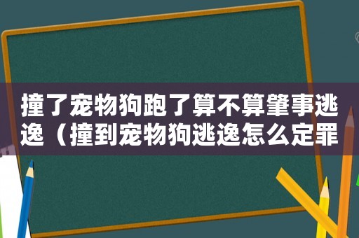 撞了寵物狗跑了算不算肇事逃逸（撞到寵物狗逃逸怎么定罪）