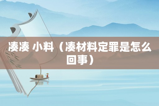 湊湊 小料（湊材料定罪是怎么回事）