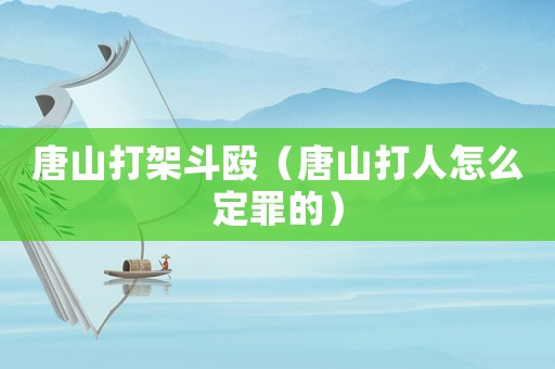 唐山打架斗毆（唐山打人怎么定罪的）