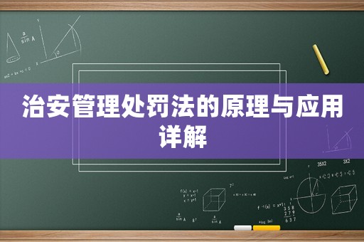 治安管理處罰法的原理與應用詳解