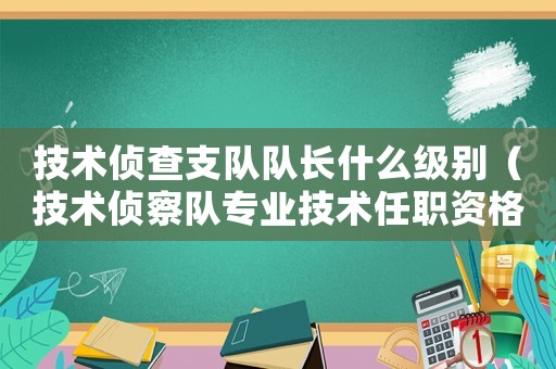 技術偵查支隊隊長什么級別（技術偵察隊專業技術任職資格標準條件）