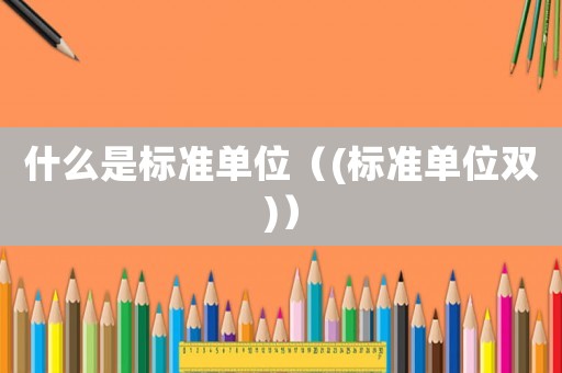什么是標準單位（(標準單位雙)）