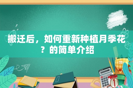 搬遷后，如何重新種植月季花？的簡單介紹