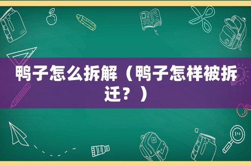 鴨子怎么拆解（鴨子怎樣被拆遷？）