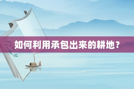 如何利用承包出來的耕地？