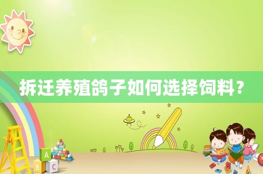拆遷養殖鴿子如何選擇飼料？