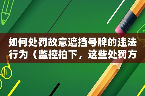 如何處罰故意遮擋號牌的違法行為（監控拍下，這些處罰方式必須知道）