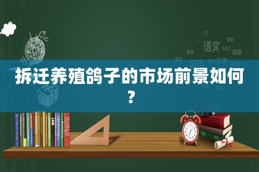 拆遷養殖鴿子的市場前景如何？