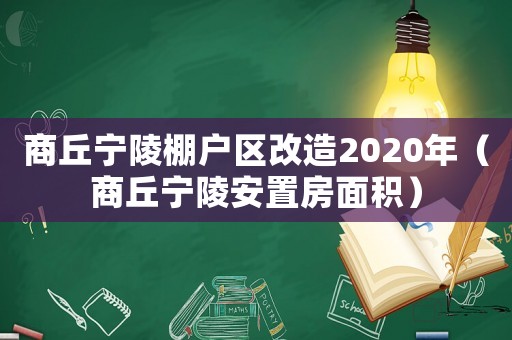 商丘寧陵棚戶區改造2020年（商丘寧陵安置房面積）