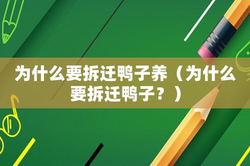 為什么要拆遷鴨子養(yǎng)（為什么要拆遷鴨子？）