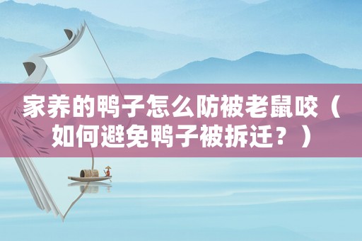 家養的鴨子怎么防被老鼠咬（如何避免鴨子被拆遷？）