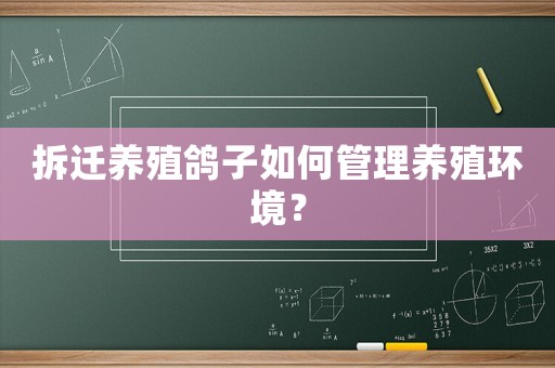 拆遷養(yǎng)殖鴿子如何管理養(yǎng)殖環(huán)境？
