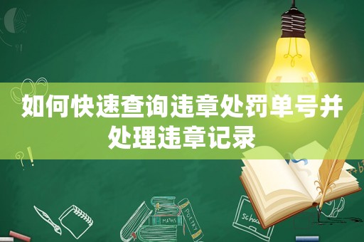 如何快速查詢違章處罰單號并處理違章記錄