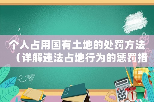 個人占用國有土地的處罰方法（詳解違法占地行為的懲罰措施）