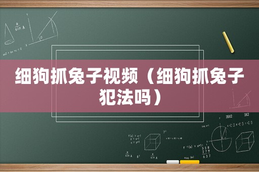 細狗抓兔子視頻（細狗抓兔子犯法嗎）