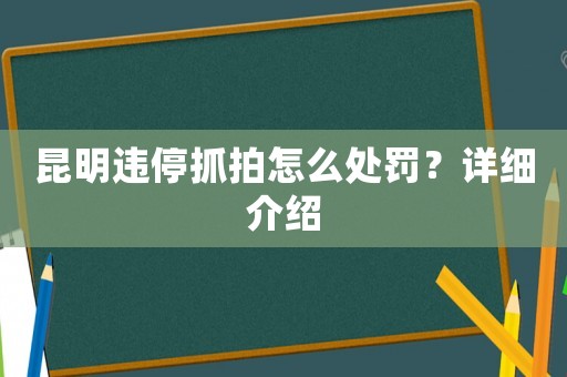 昆明違停抓拍怎么處罰？詳細介紹