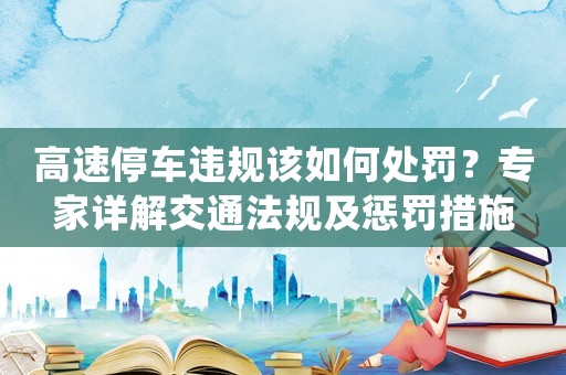 高速停車違規(guī)該如何處罰？專家詳解交通法規(guī)及懲罰措施