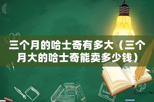 三個月的哈士奇有多大（三個月大的哈士奇能賣多少錢）