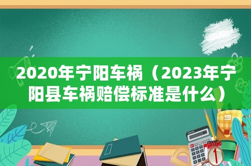 2020年寧陽車禍（2023年寧陽縣車禍賠償標準是什么）