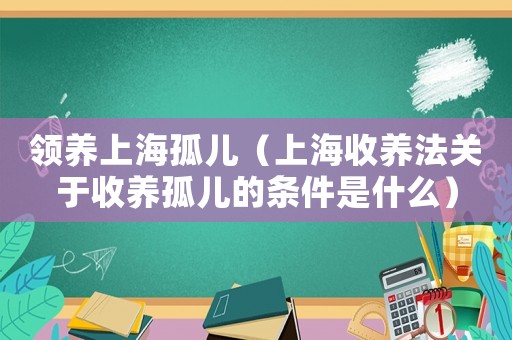 領養上海孤兒（上海收養法關于收養孤兒的條件是什么）