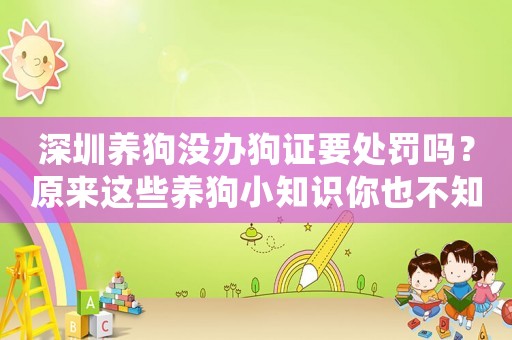 深圳養狗沒辦狗證要處罰嗎？原來這些養狗小知識你也不知道