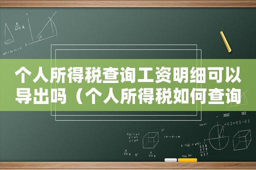 個人所得稅查詢工資明細可以導出嗎（個人所得稅如何查詢工資明細）