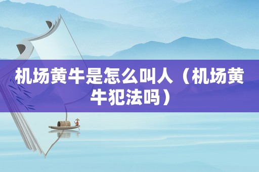 機場黃牛是怎么叫人（機場黃牛犯法嗎）