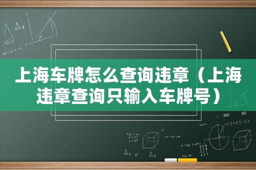 上海車牌怎么查詢違章（上海違章查詢只輸入車牌號）