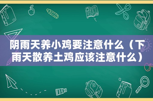 陰雨天養小雞要注意什么（下雨天散養土雞應該注意什么）