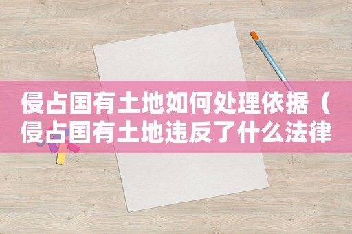 侵占國有土地如何處理依據（侵占國有土地違反了什么法律）