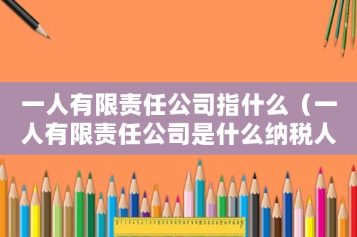 一人有限責任公司指什么（一人有限責任公司是什么納稅人）