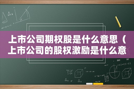 上市公司期權股是什么意思（上市公司的股權激勵是什么意思啊）